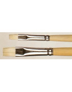 Bristle school brushes Kolibri 2000 flat, long handles