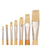 Bristle school brushes 134, flat, short handles