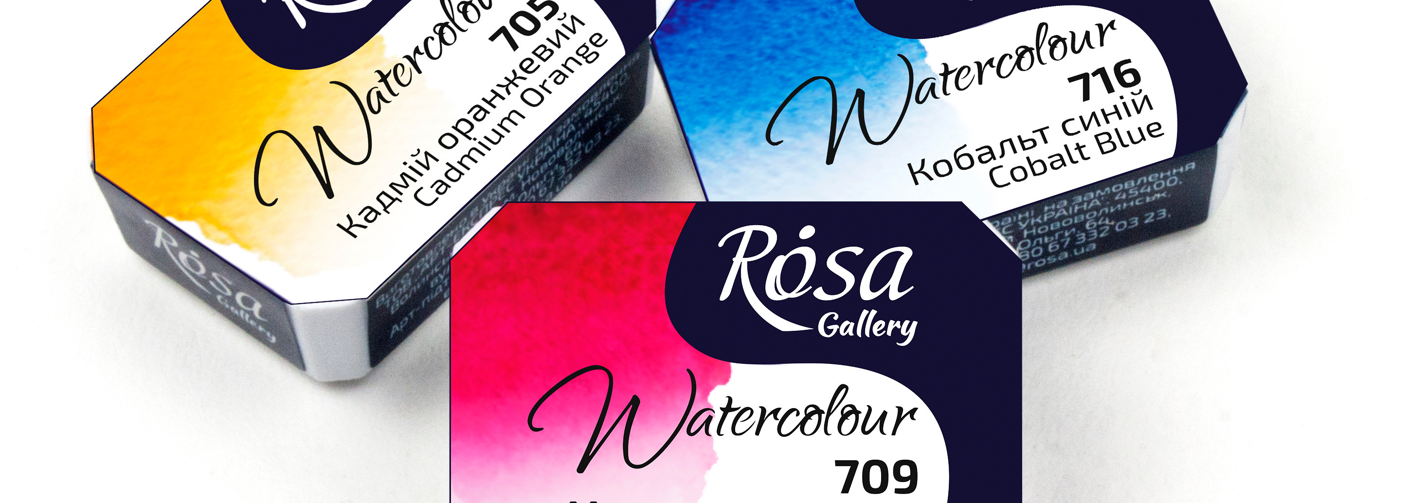 Rosa